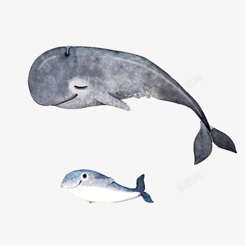 鲸鱼母子遨游png免抠素材_新图网 https://ixintu.com 一大一小 幸福微笑 母子 海洋生物 鲸鱼