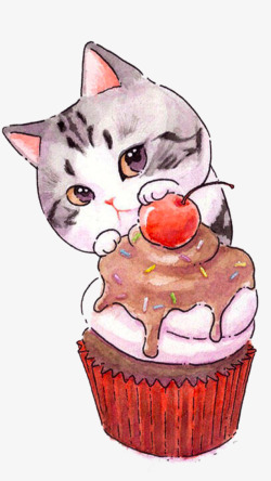 猫吃猫粮吃蛋糕的猫高清图片