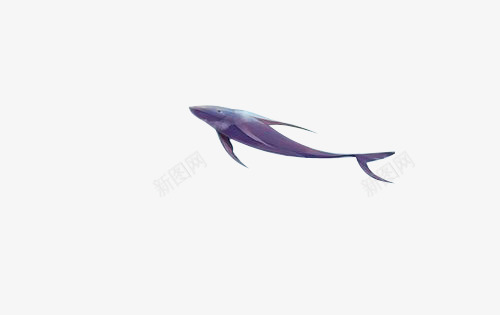 蓝色海洋遨游鲸鱼png免抠素材_新图网 https://ixintu.com 海洋 蓝色 遨游 鲸鱼