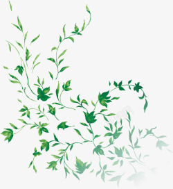 藤子彩绘绿叶藤蔓藤子装饰高清图片