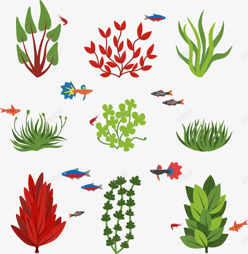 海洋水中生长植物png免抠素材_新图网 https://ixintu.com 水生植物 水草 海洋植物 珊瑚草 矢量素材