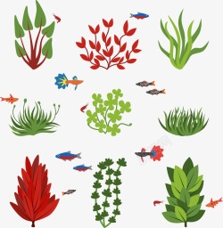 珊瑚草海洋水中生长植物高清图片