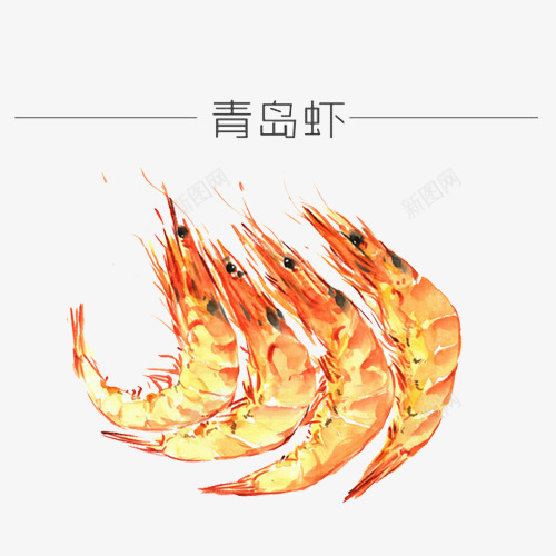 青岛大虾手绘画片png免抠素材_新图网 https://ixintu.com 大虾 手绘色彩 海鲜 红色 虾子 青岛大虾