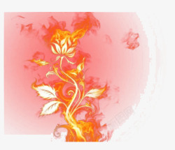 花朵成长素材