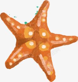世界海洋日手绘橙色海星素材
