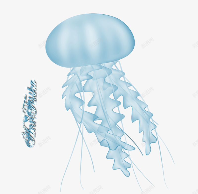 手绘蓝色水母png免抠素材_新图网 https://ixintu.com 彩色水母 手绘 水母 海洋生物 蓝色