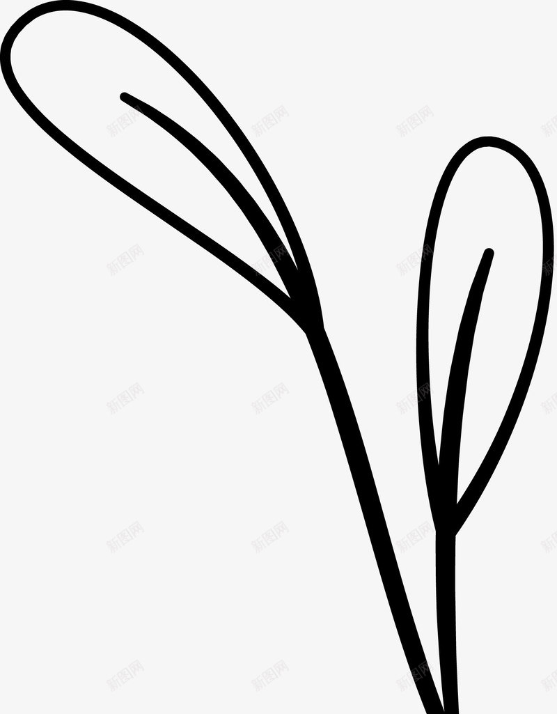 手绘植物叶子图标png_新图网 https://ixintu.com 印花图案 手绘花朵 植物花朵 黑白花朵图案