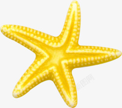 海洋星星素材