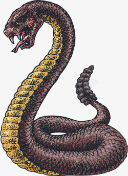 手绘棕色古老巨蛇素材