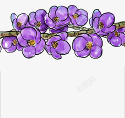 紫色花藤素材