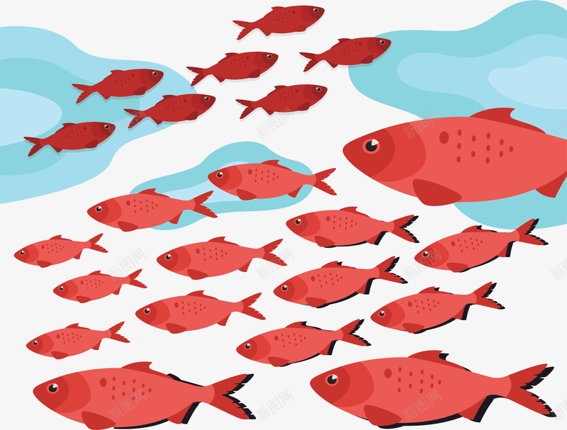 大海里红色的鱼群矢量图ai免抠素材_新图网 https://ixintu.com 一群鱼 海洋 海洋鱼群 矢量png 红色鱼群 鱼群 矢量图