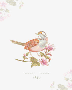 花鸟画素材