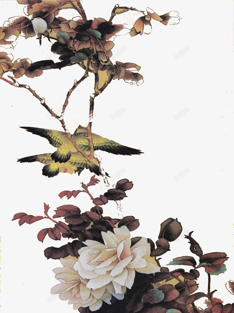 花鸟图png免抠素材_新图网 https://ixintu.com 中国风 小鸟 灰色 花朵 花鸟图