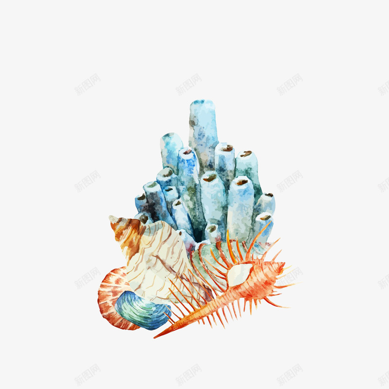 海螺插画png免抠素材_新图网 https://ixintu.com 扇贝 海洋生物 贝壳