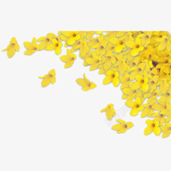 黄色花瓣装饰素材