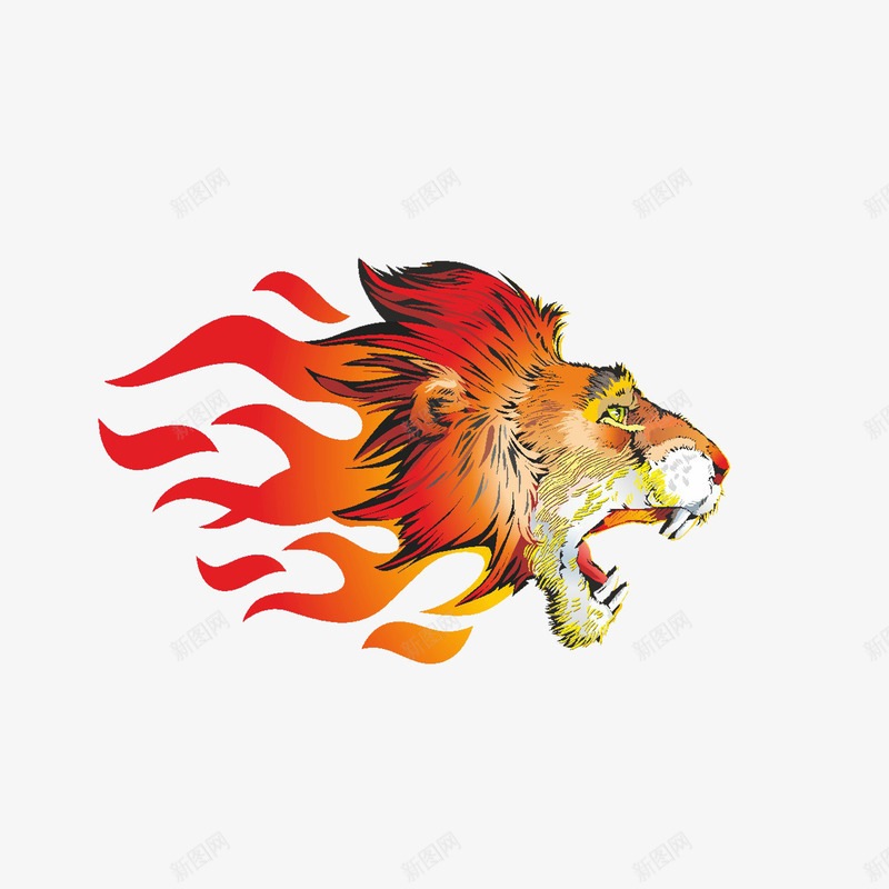 火焰和狮子头部插画png免抠素材_新图网 https://ixintu.com 动物 火焰