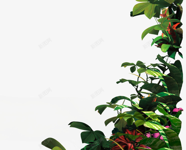 创意摄影绿色的藤蔓植物png免抠素材_新图网 https://ixintu.com 创意 摄影 植物 绿色 藤蔓