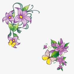 紫色蔓藤紫色花朵高清图片