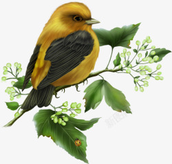 黄色简约花鸟装饰图案素材
