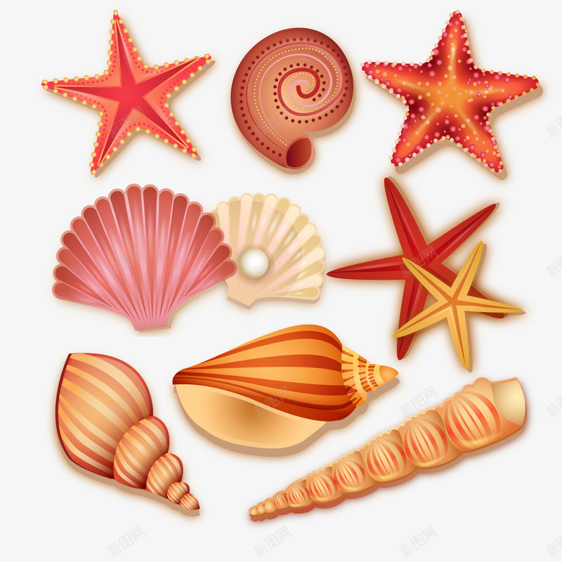海洋生物合集png免抠素材_新图网 https://ixintu.com 海洋生物 海螺 清新 装饰 贝壳