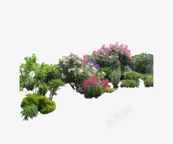 静景花圃植物高清图片
