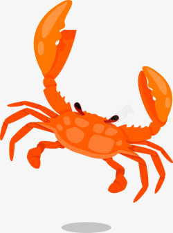 海洋生物橙色螃蟹素材