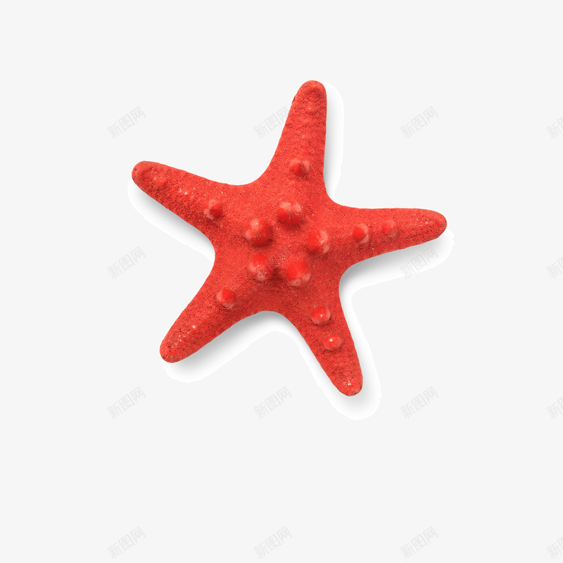 红色海星png免抠素材_新图网 https://ixintu.com 圆形 海星 海洋 点状 红色 纹理 自然 质感