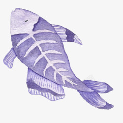 不同种类的鱼卡通海洋生物鱼文艺风海报高清图片