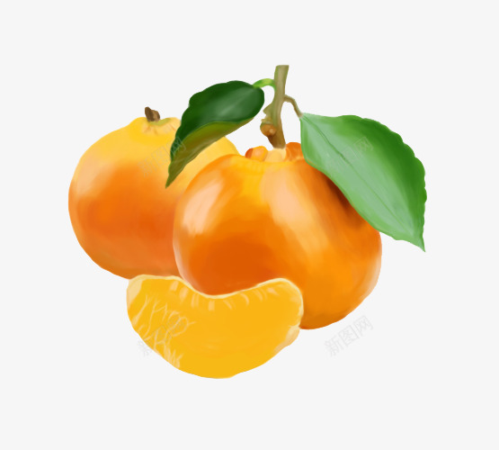 油画柑橘png免抠素材_新图网 https://ixintu.com 一对 写实 柑橘 柑橘手绘 橘子 橙色 水果 油画 绘画 色彩