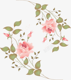 手绘粉色花朵花藤图案素材