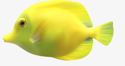 黄色游鱼热带鱼高清图片