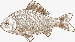 海洋生物手绘棕色小鱼素材