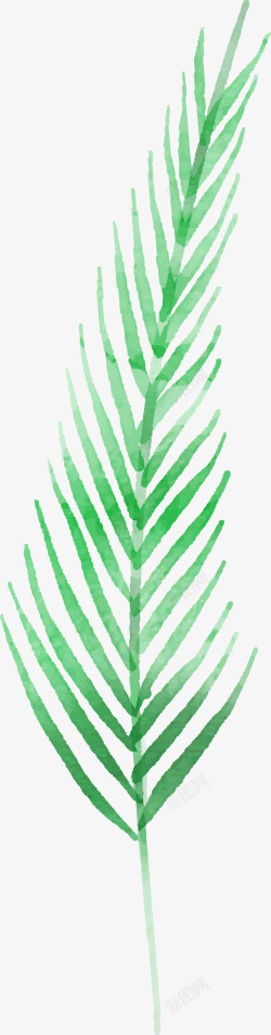 水彩棕榈叶叶子图矢量图素材
