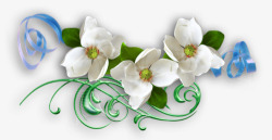 白色花朵花藤素材