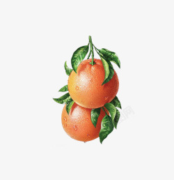 水果新鲜橙子素材