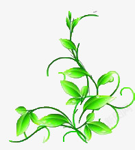 藤蔓绿色攀缘茎素材