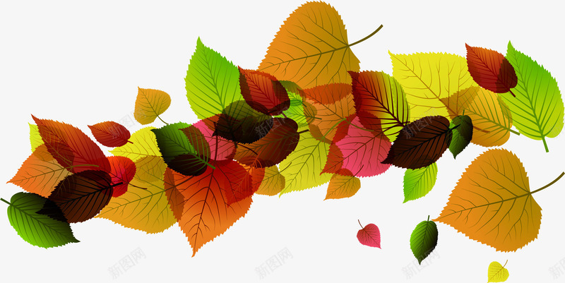 不同色彩树叶植物png免抠素材_新图网 https://ixintu.com 不同 树叶 植物 色彩