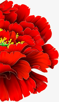 中秋节手绘红花素材