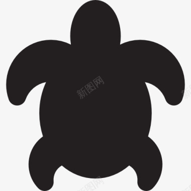 大乌龟图标图标