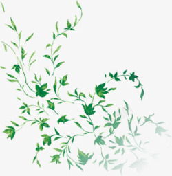 绿色植物藤蔓青藤绿叶素材