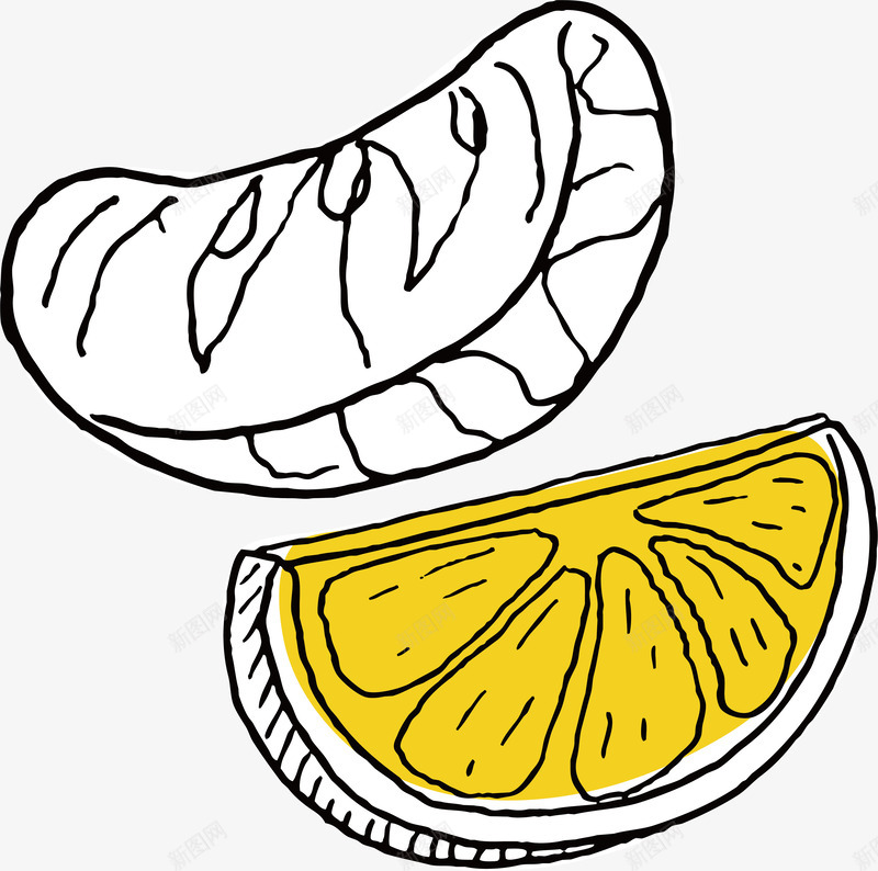 手绘水果柑橘矢量图ai免抠素材_新图网 https://ixintu.com 好吃 好看 手绘 新鲜 果 柑橘 榨汁 水果 美味 色彩鲜艳 金黄 矢量图