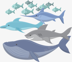 海洋中的生态鱼群矢量图素材