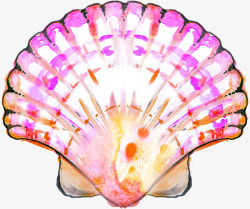粉色贝壳水彩画贝壳高清图片