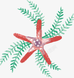 红色水彩手绘海星花纹矢量图素材
