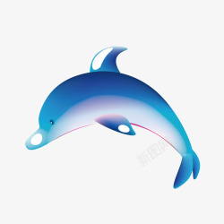 海洋生物海豚矢量图素材