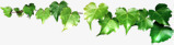 手绘合成绿色的植物藤蔓造型png免抠素材_新图网 https://ixintu.com 合成 植物 绿色 藤蔓 造型