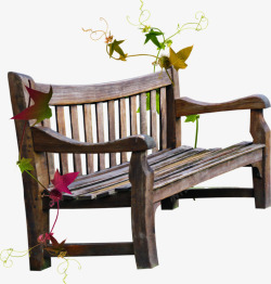 木制长椅和藤蔓素材
