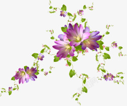 紫色花朵花藤装饰素材