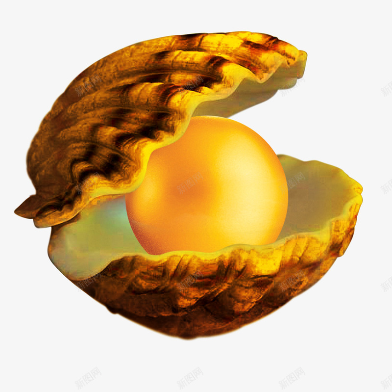 海蚌中的珍珠png免抠素材_新图网 https://ixintu.com 海洋 珍珠 贝壳 黄色