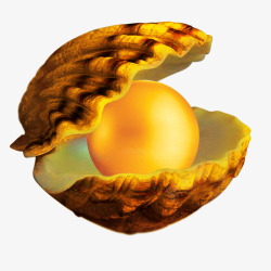海蚌海蚌中的珍珠高清图片
